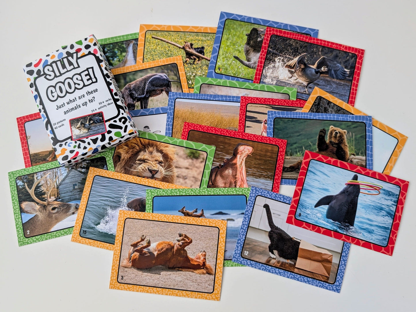 Collection of animal-themed cards with colorful borders on a white background