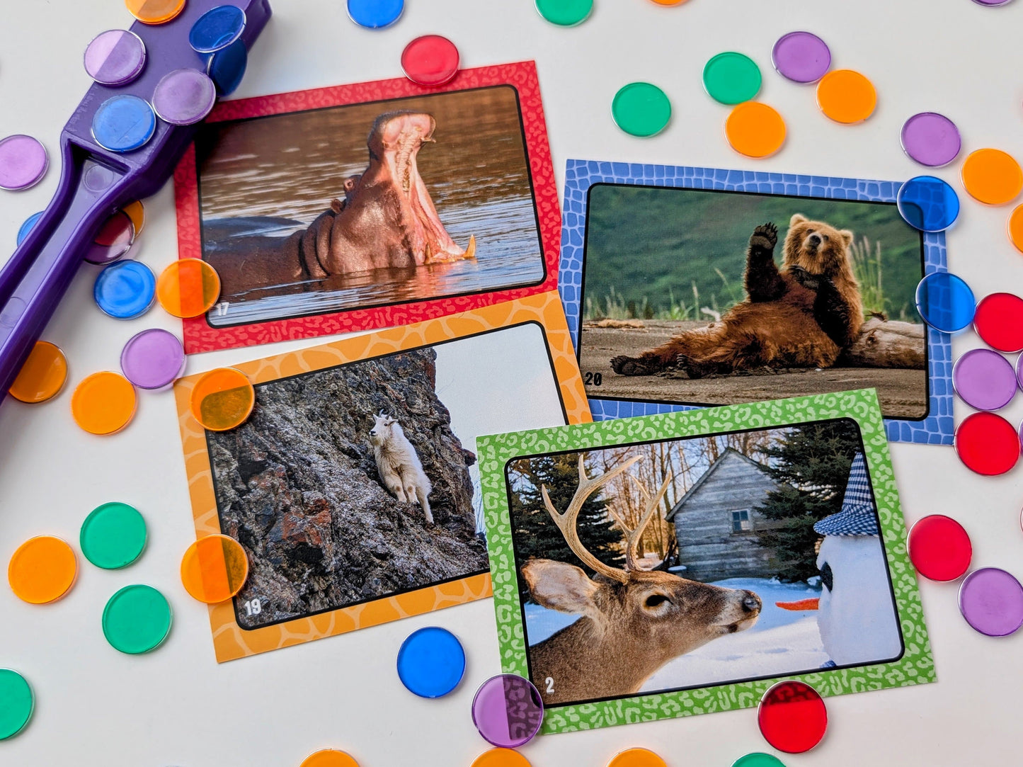 Four animal-themed cards on a white background with dots all around.