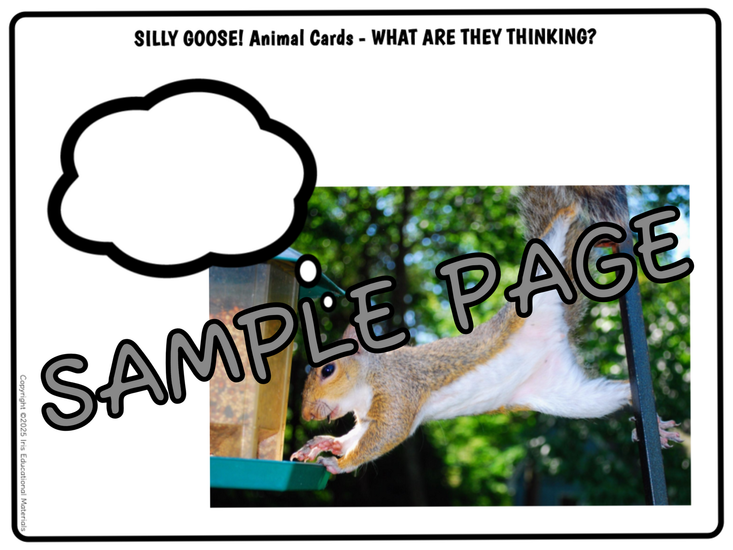 Worksheet sample page with a squirrel on a branch with a thought bubble and text 'SILLY GOOSE! Animal Cards - What are they thinking?'